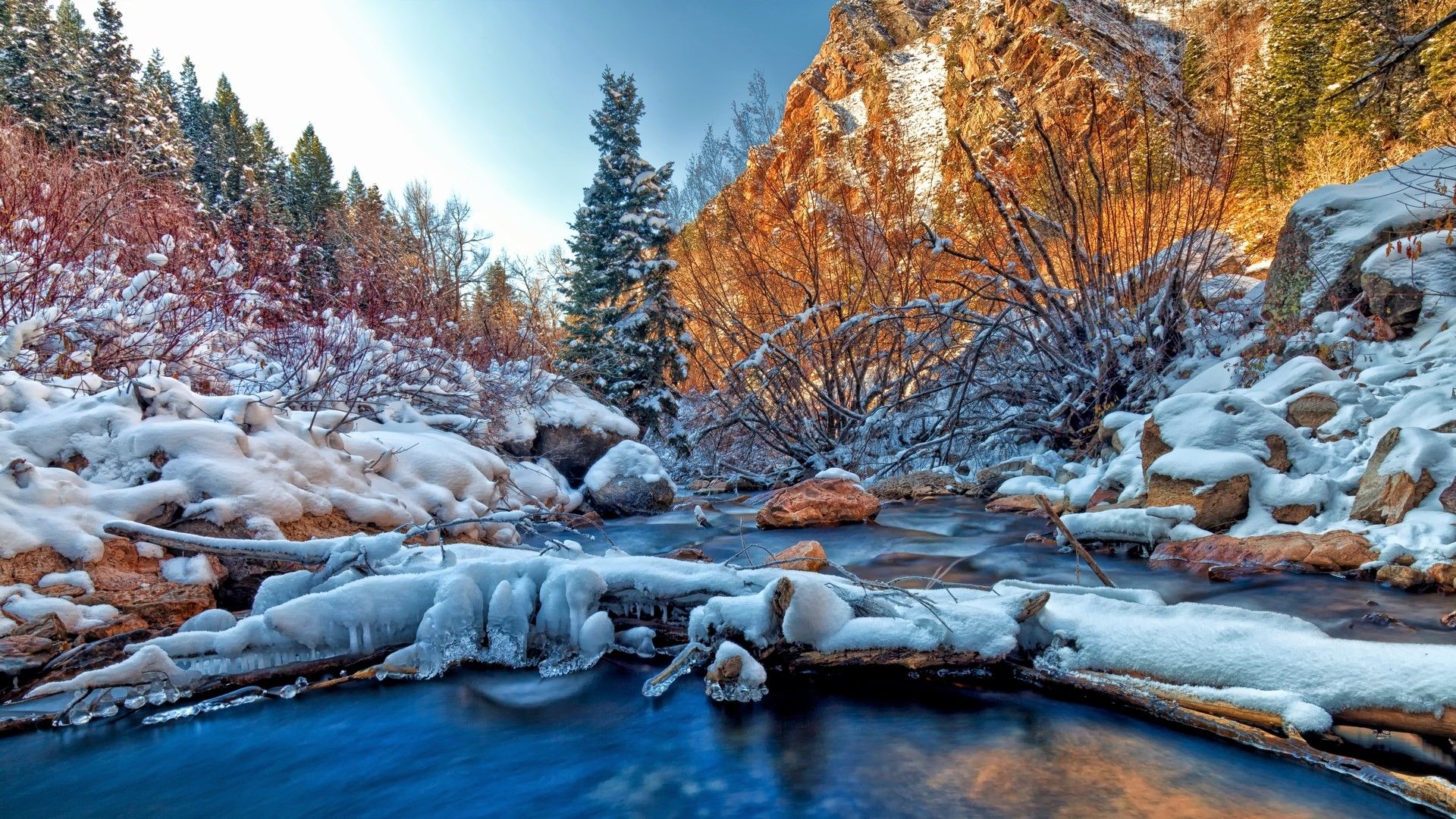1920x1080 Download Ice Tree Forest Nature Stream HD Wallpaperx1080