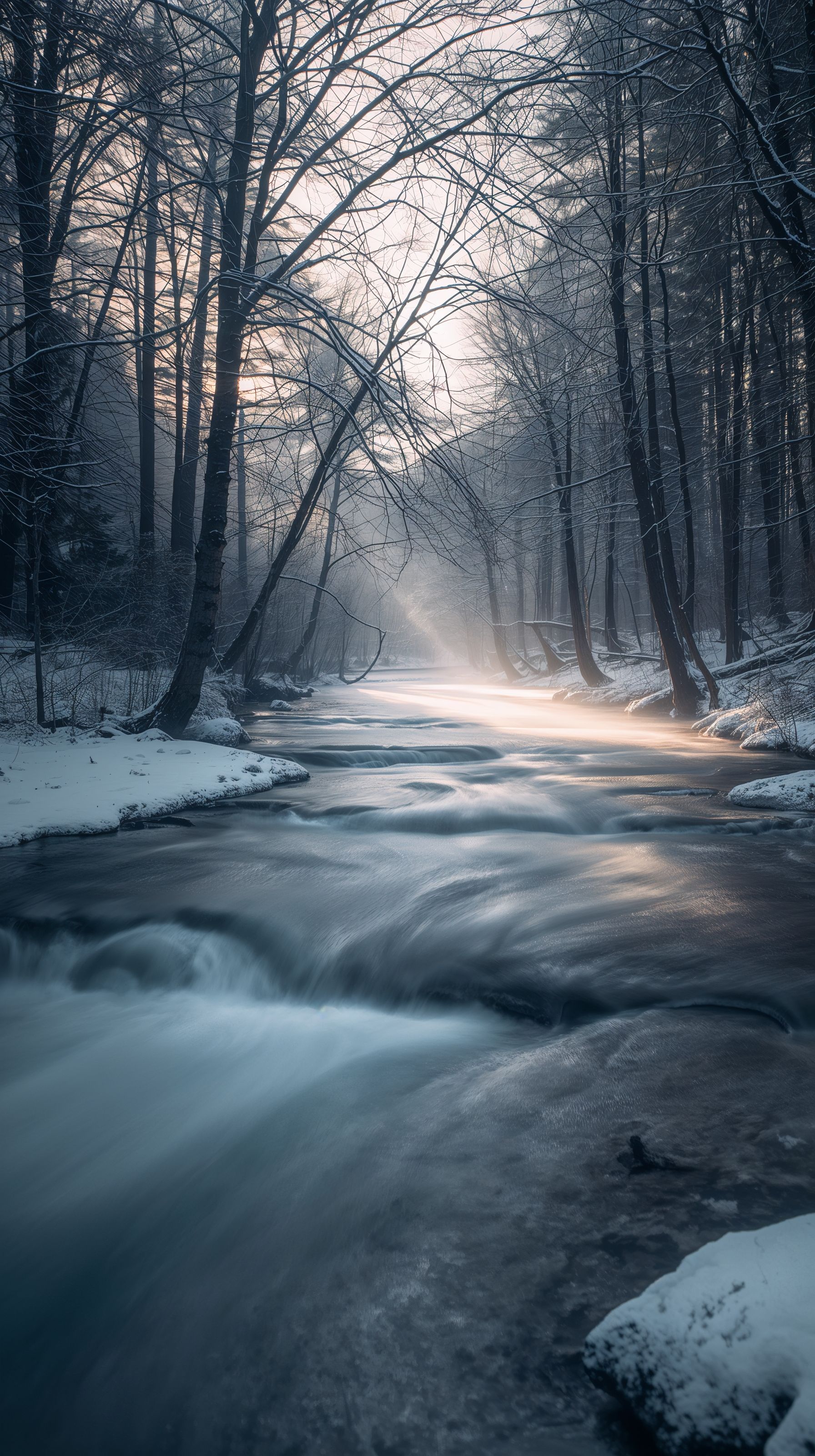 1792x3200 Peaceful Winter Morning Wallpaper