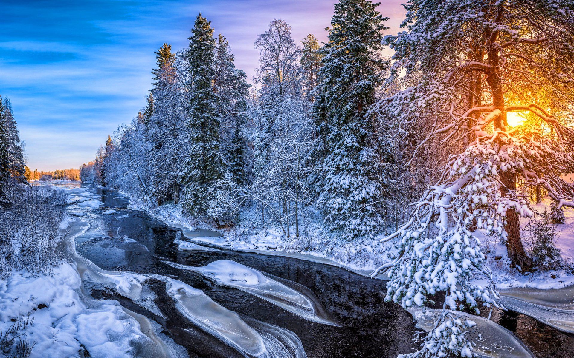 1920x1200 Snowbound Forest River
