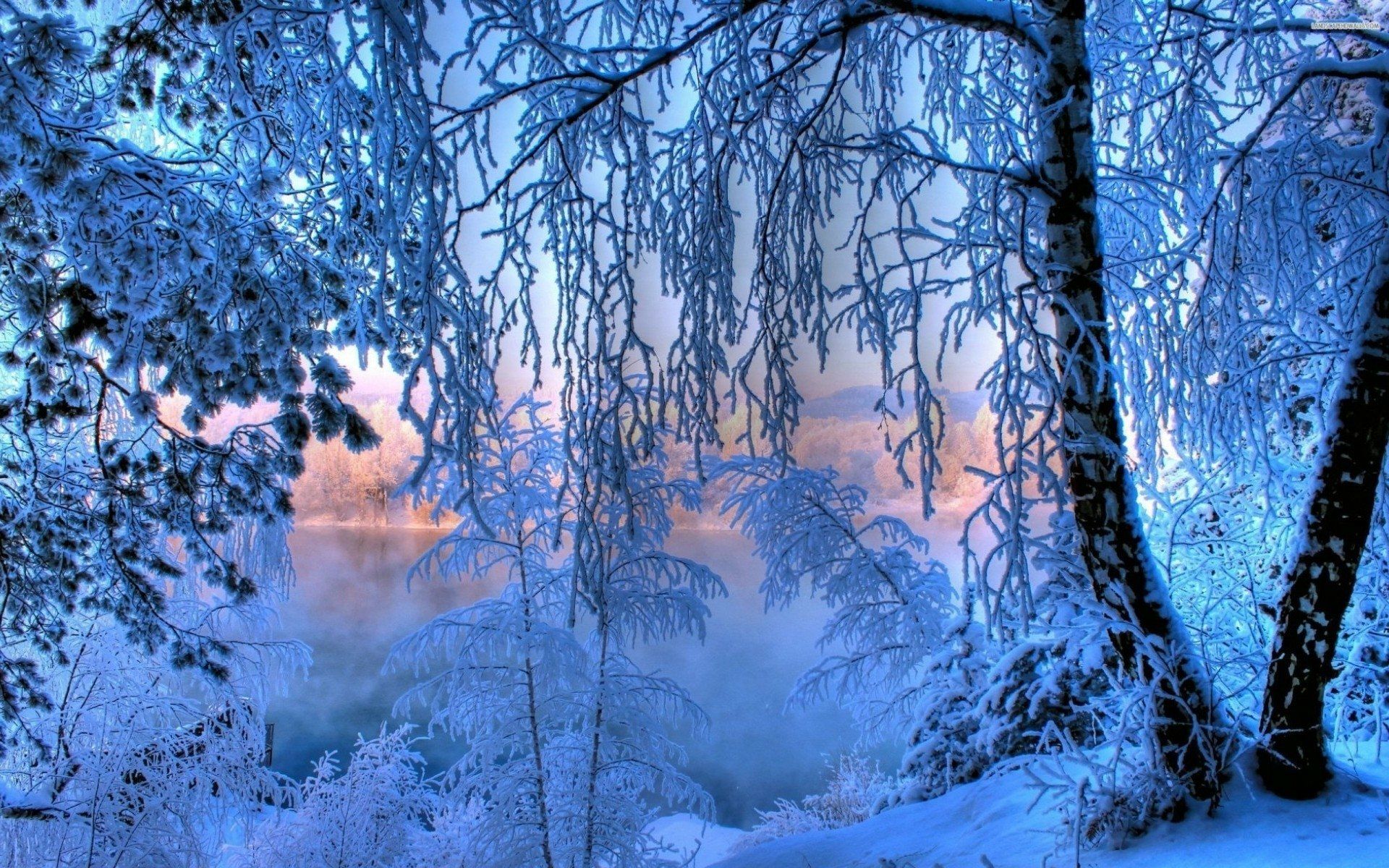 1920x1200 Winter Sunrise: A Tranquil Nature HD Wallpaperx1200