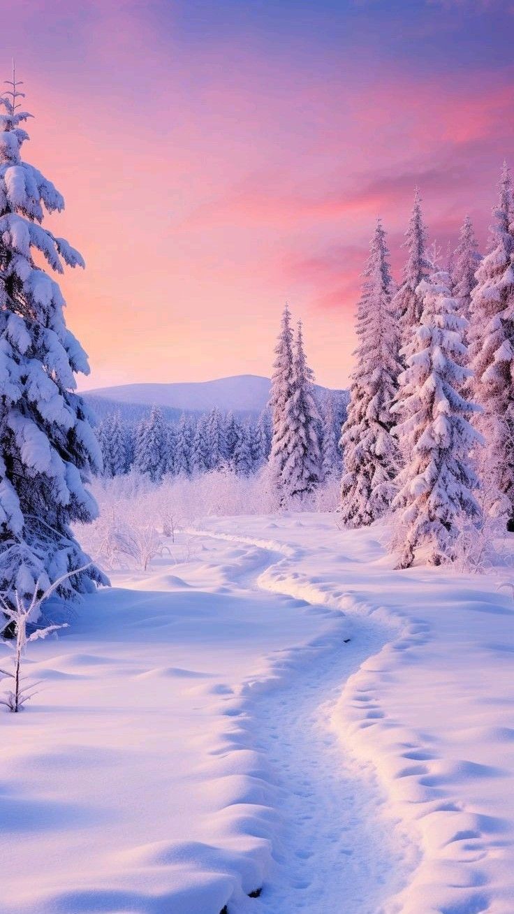 736x1308 Winter ❄️