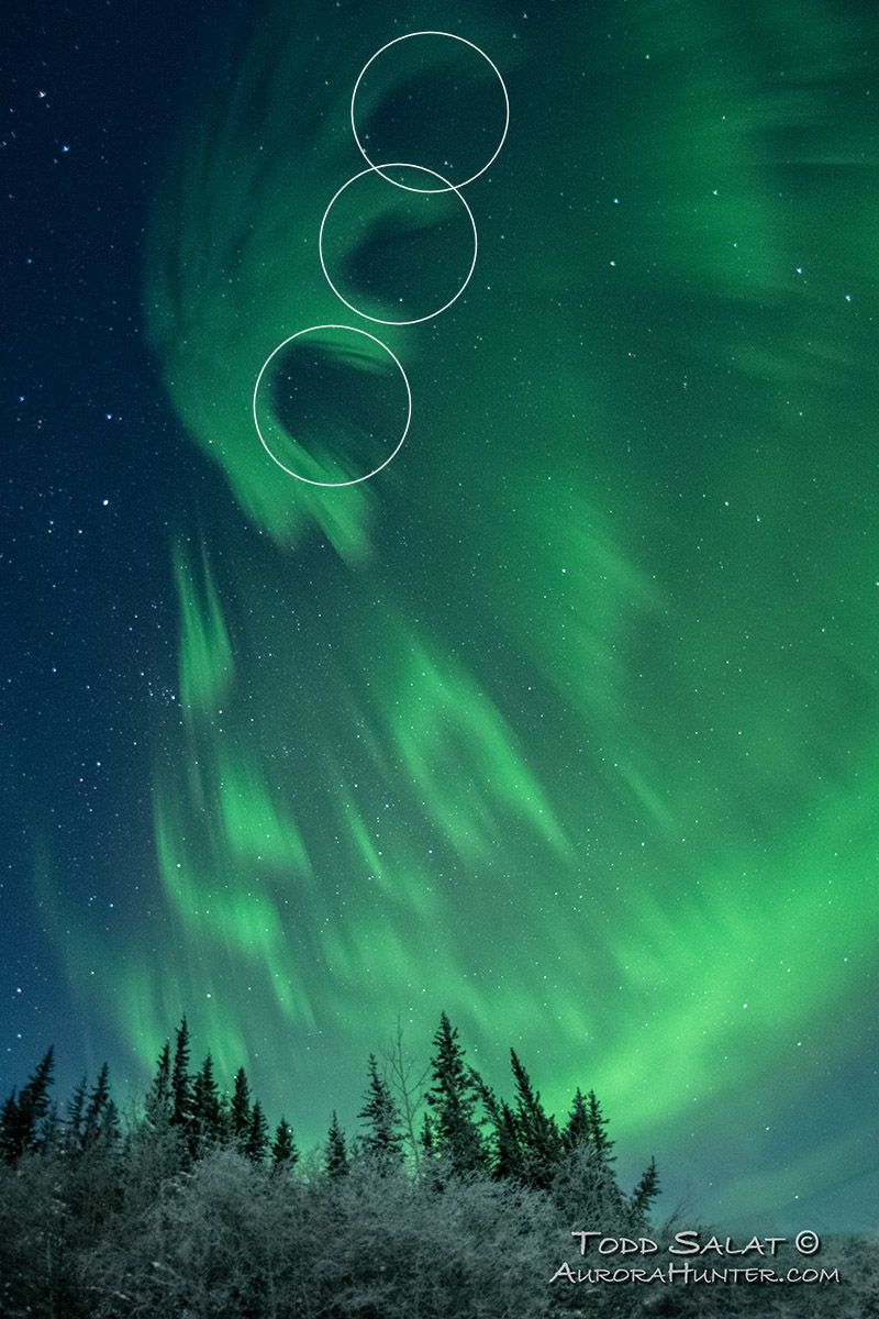 800x1200 BLACK AURORAS