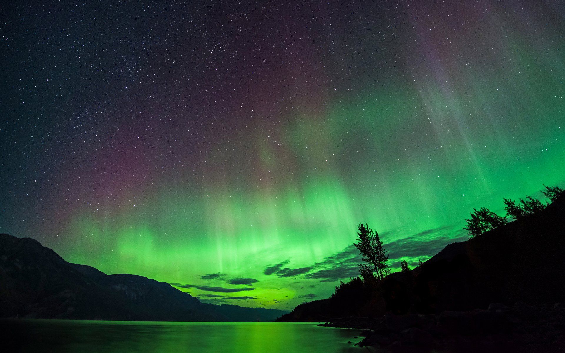 1920x1200 Aurora Nightscape: Stunning HD Northern Lights in Nature's Embrace