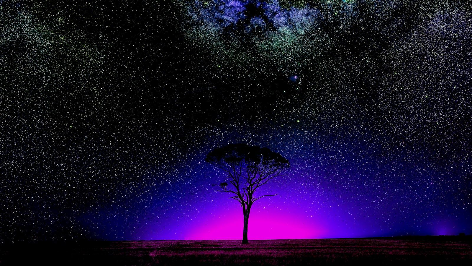 1600x900 Cosmic Solitude 4K Neon Aurora Tree Wallpaper for PC 4K Wallpaper. Best 4K Wallpaper for Computers