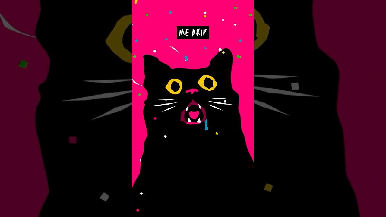 1280x720 Cat Nips