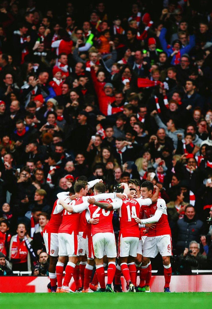 736x1072 Arsenal team wallpaper for phone. Arsenal ios 16 wallpaper, Arsenal players, Gunners arsenal