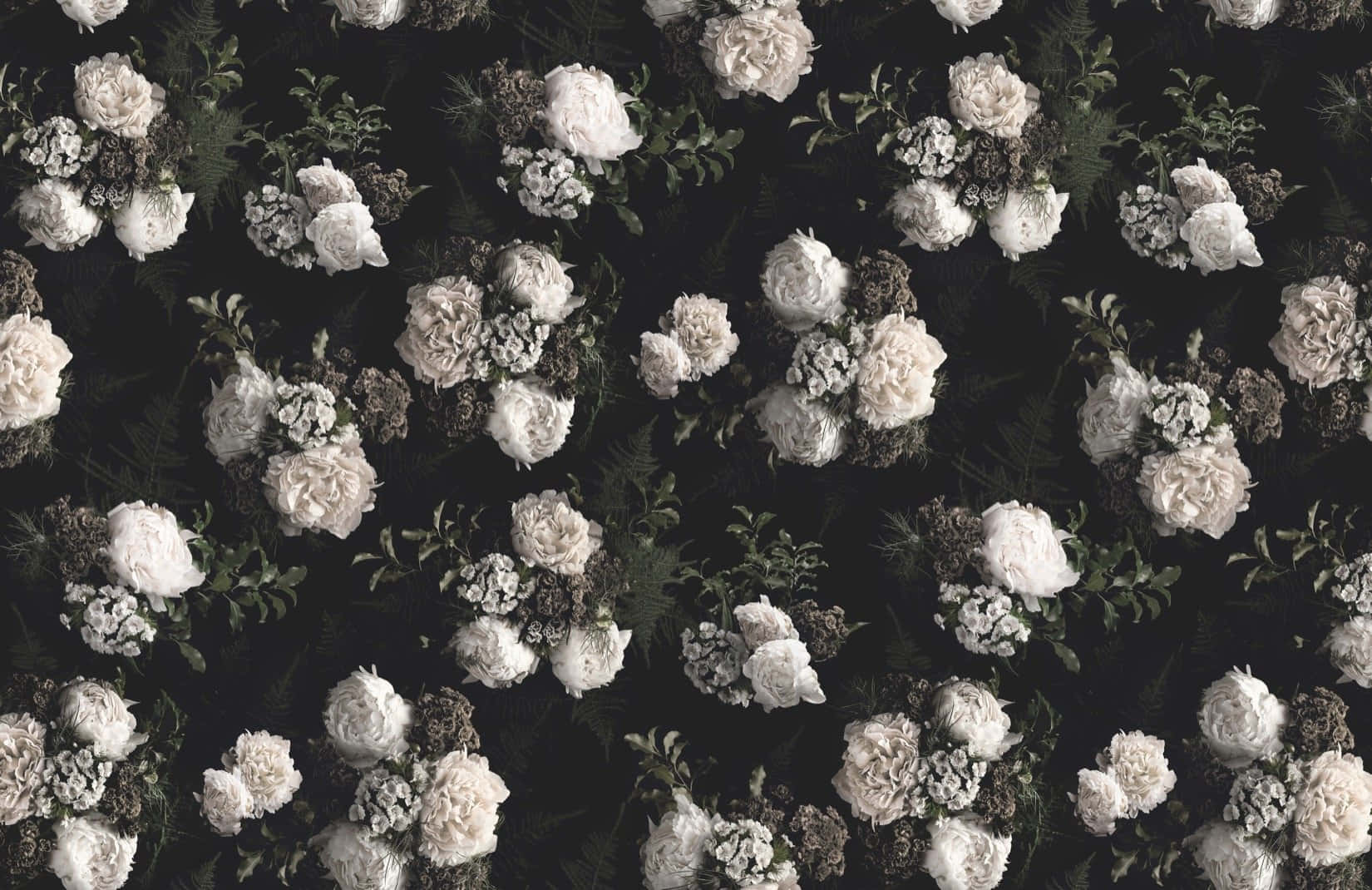 1650x1070 Download Embrace the beauty of dark florals Wallpaper