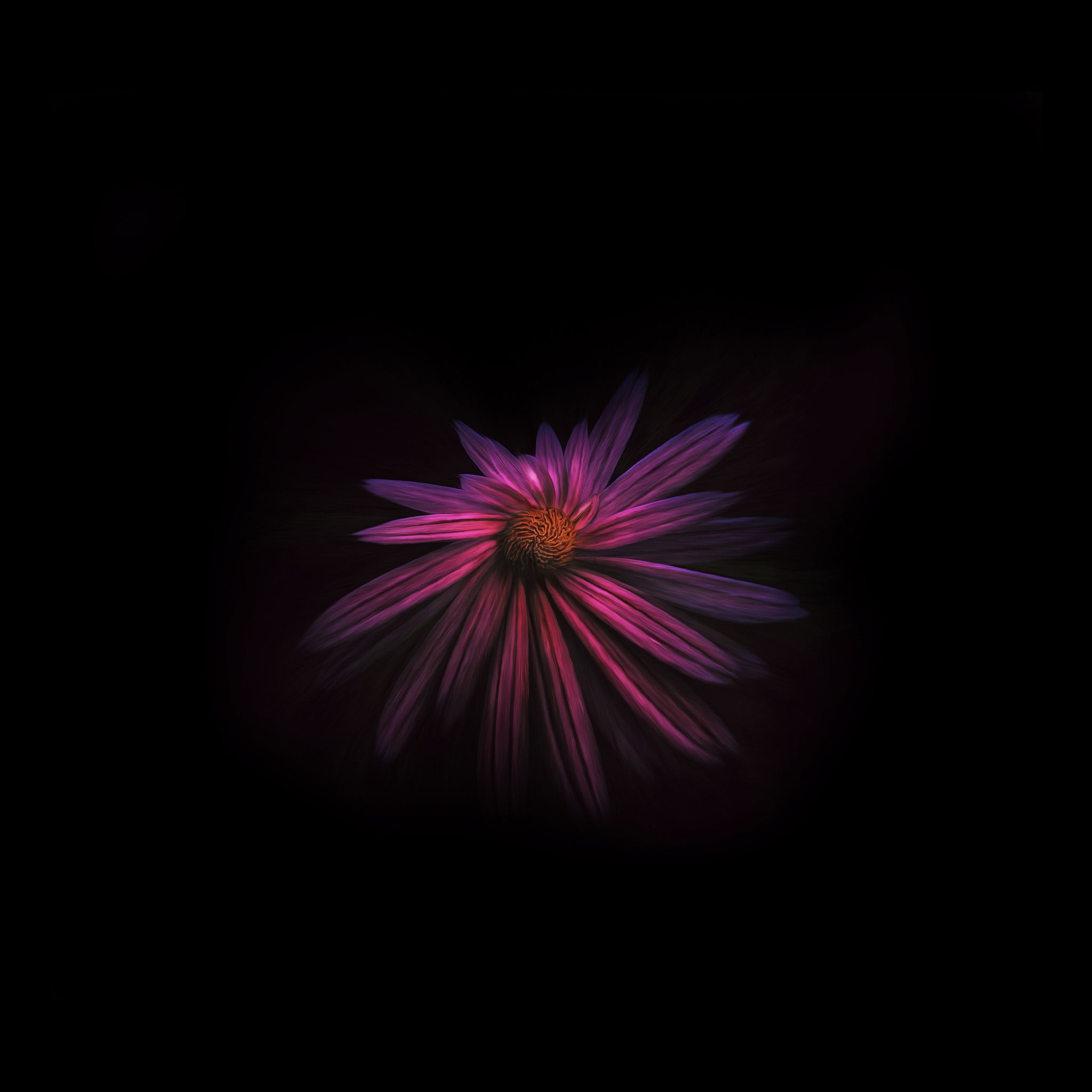 2048x2048 Flower Dark Background 4k iPad Air , HD 4k Wallpaper, Image, Background, Photos and Picture