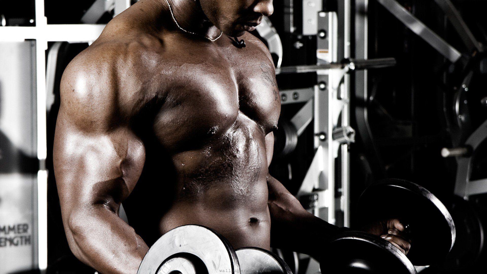 1920x1080 body building, Fitness, Muscle, Muscles, Weight, Lifting, Bodybuilding, 41 Wallpaper HD / Desktop and Mobile Background