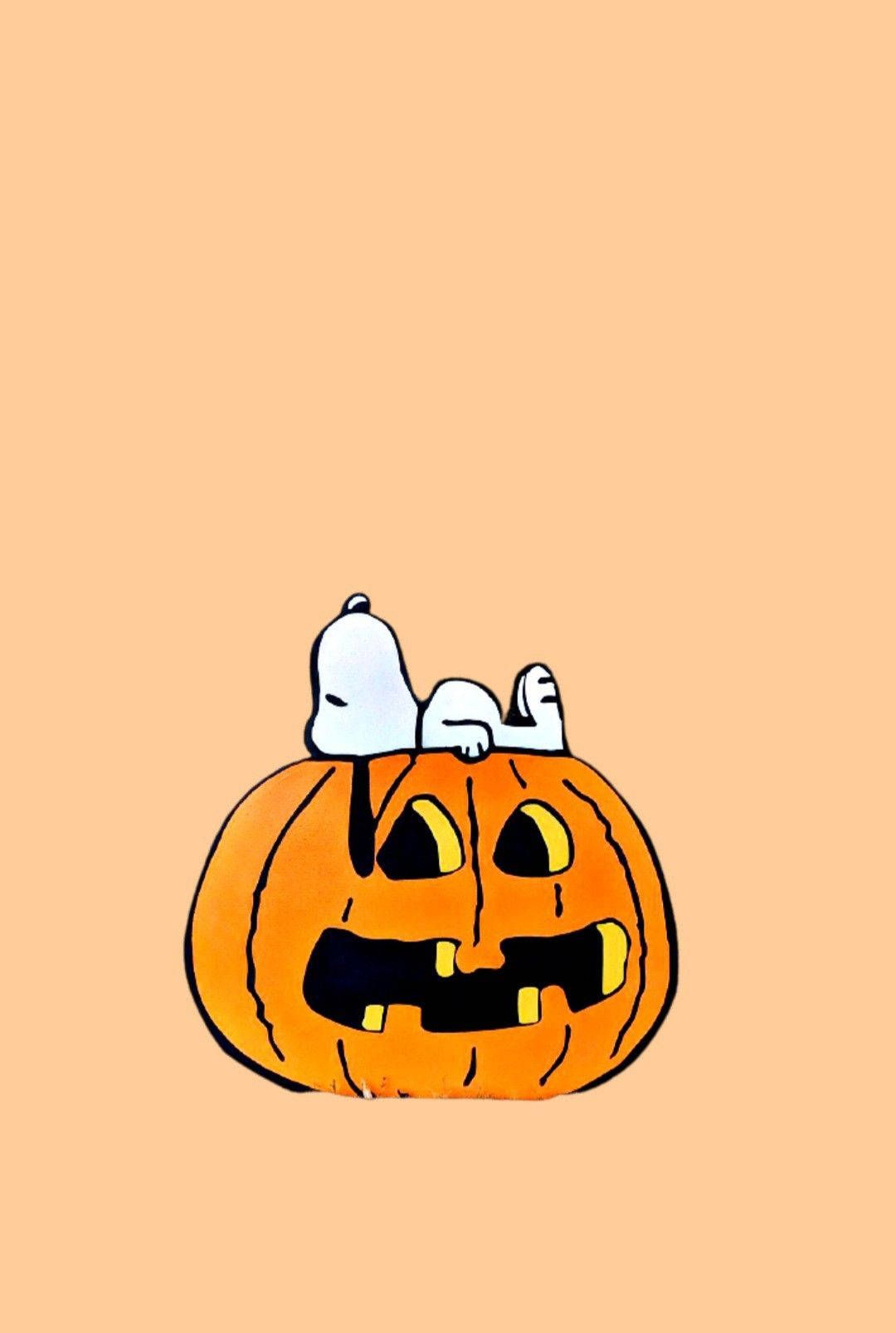 1080x1607 Download Snoopy getting ready for a spooky Halloween! Wallpaper