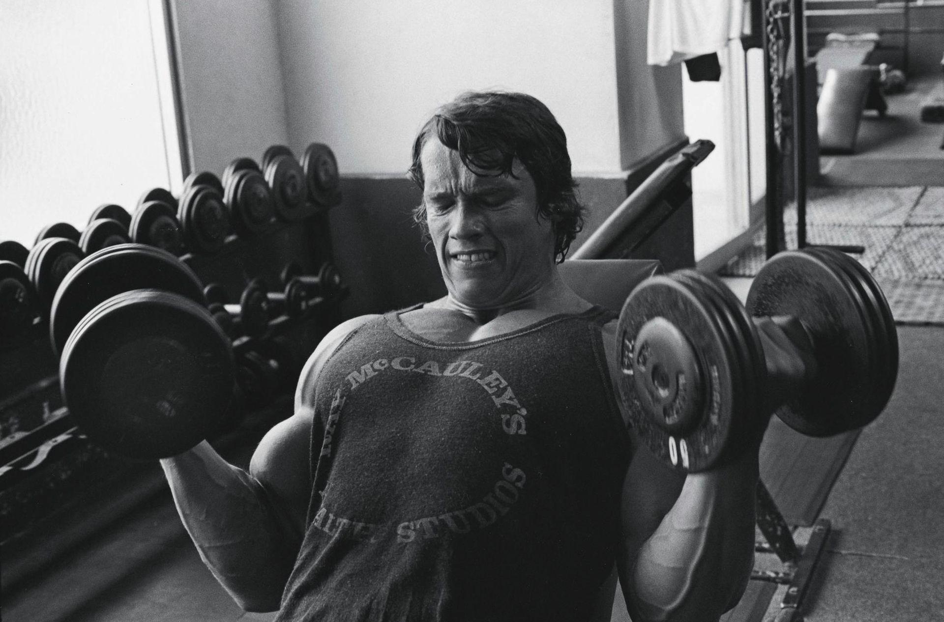 1920x1266 Arms Workout. Schwarzenegger bodybuilding, Arnold schwarzenegger bodybuilding, Bodybuilding picture