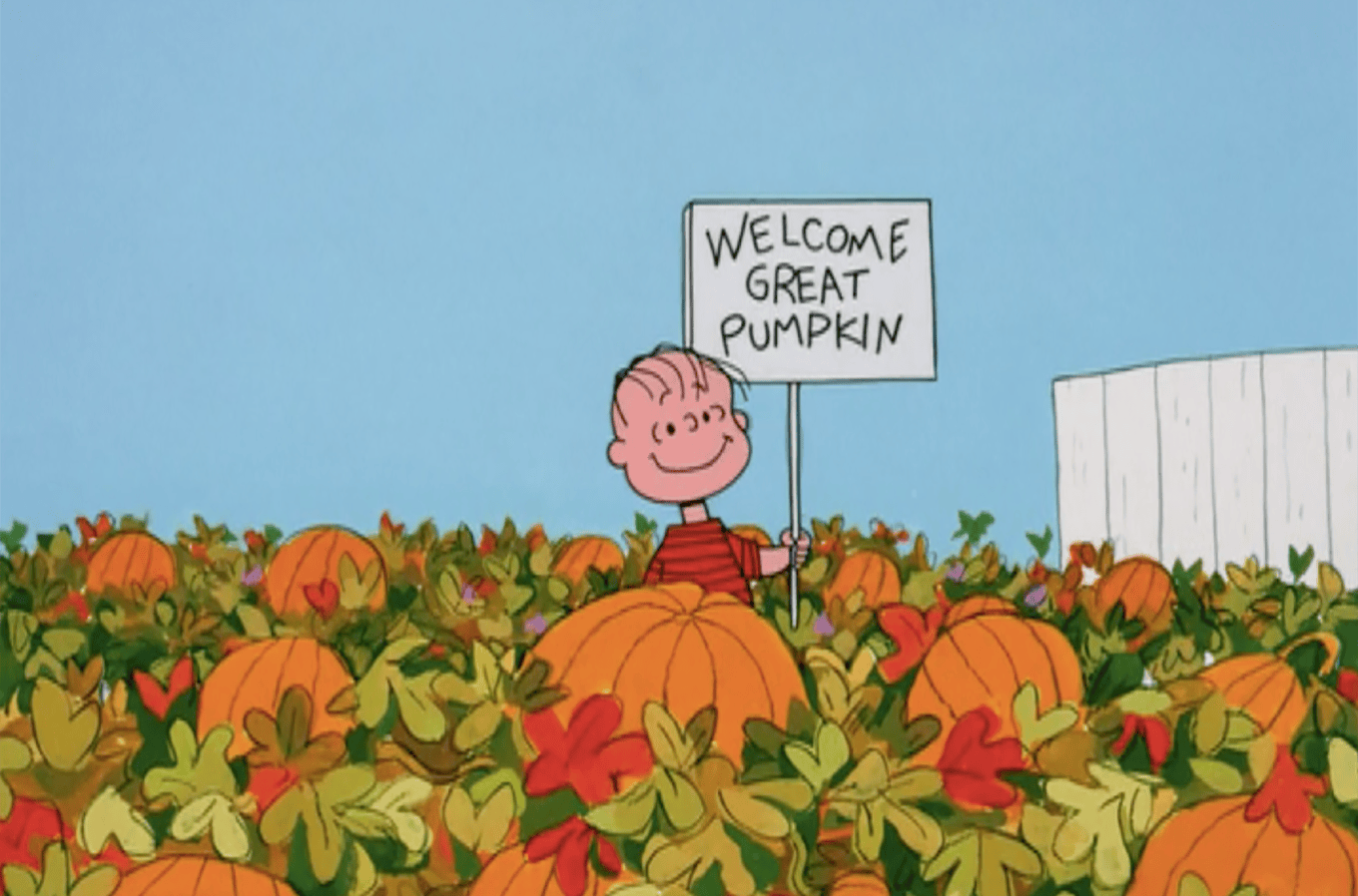 1360x898 It's the Great Pumpkin, Charlie Brown is a Christmas special wearing a Halloween costume