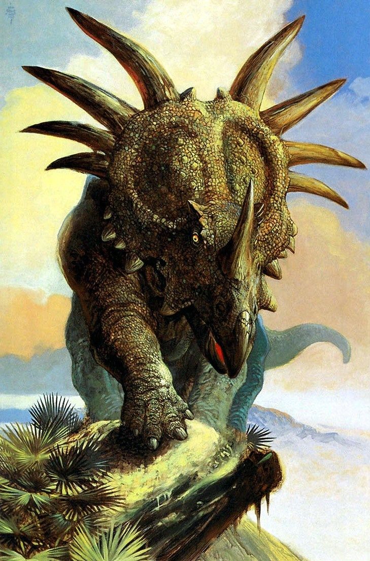 729x1107 Styracosaurus by Wm. Stout