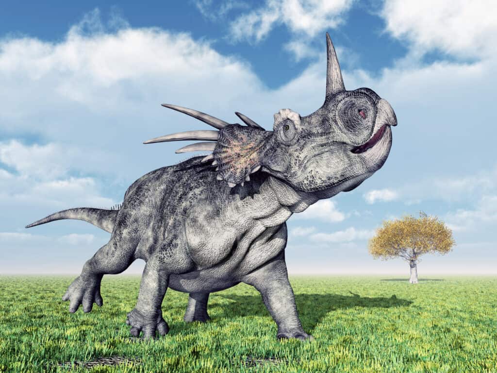 1024x768 Styracosaurus Animal Picture. A Z Animals