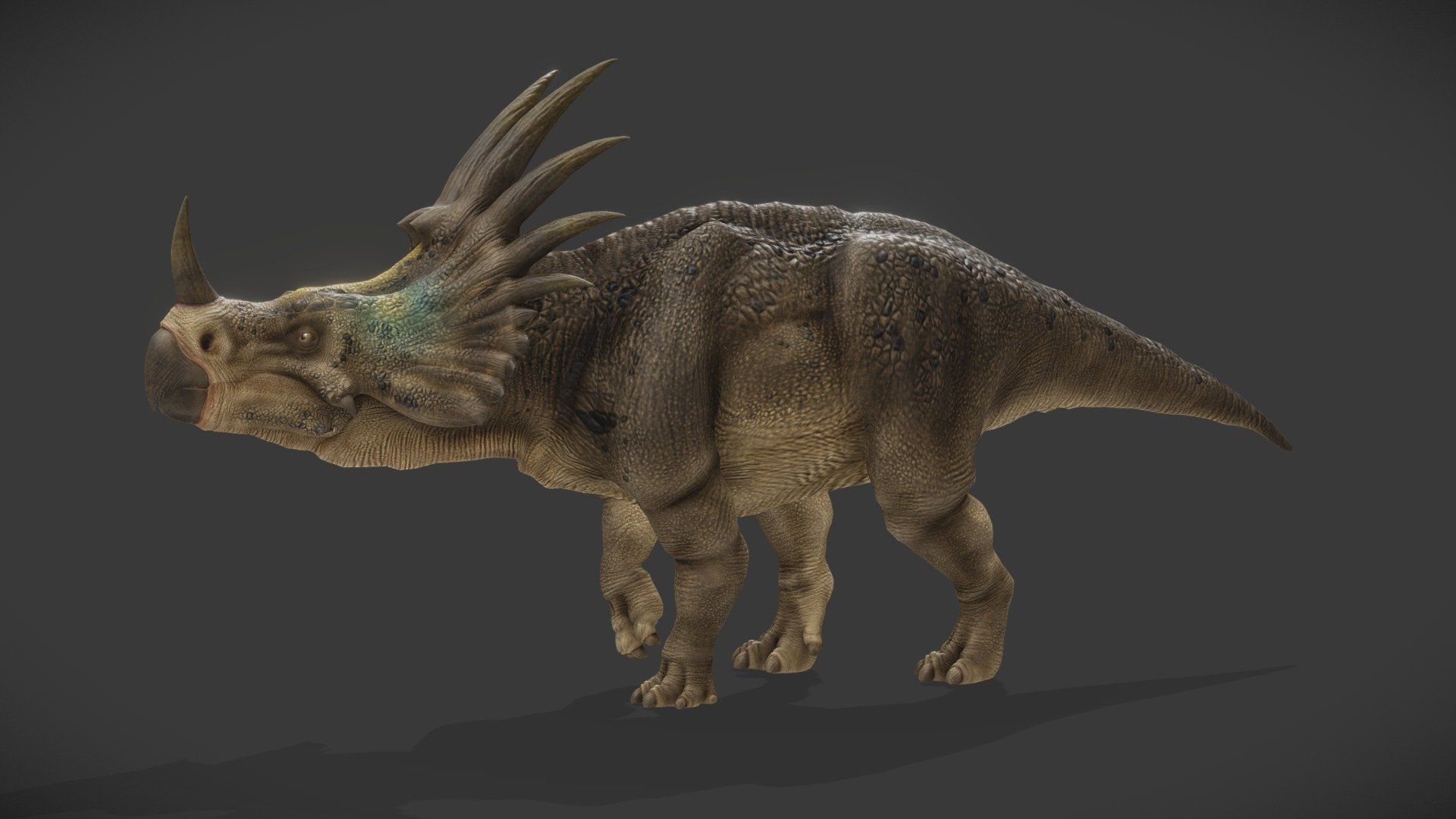 1920x1080 Styracosaurus Albertensis. (Rigged / animtd v.) model by Kyan0s [955017e]
