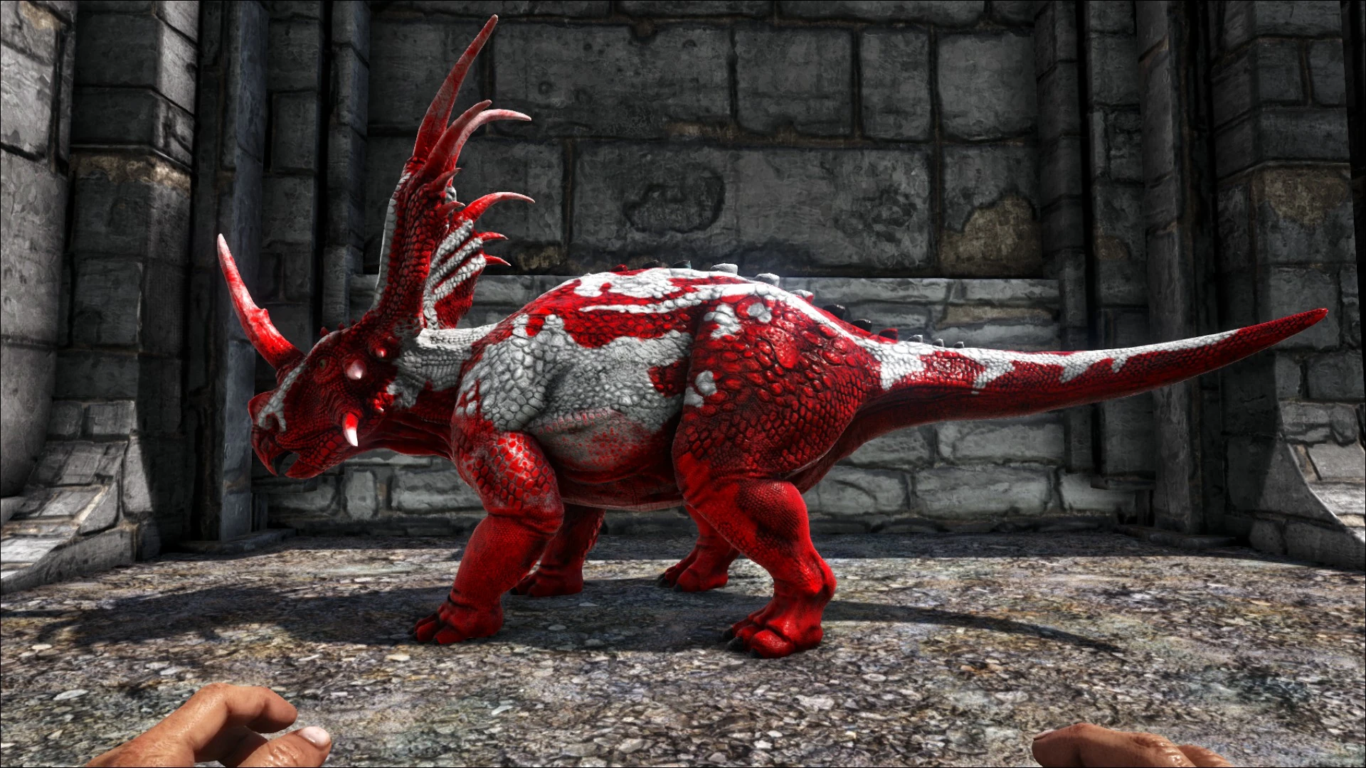 1920x1080 Styracosaurus