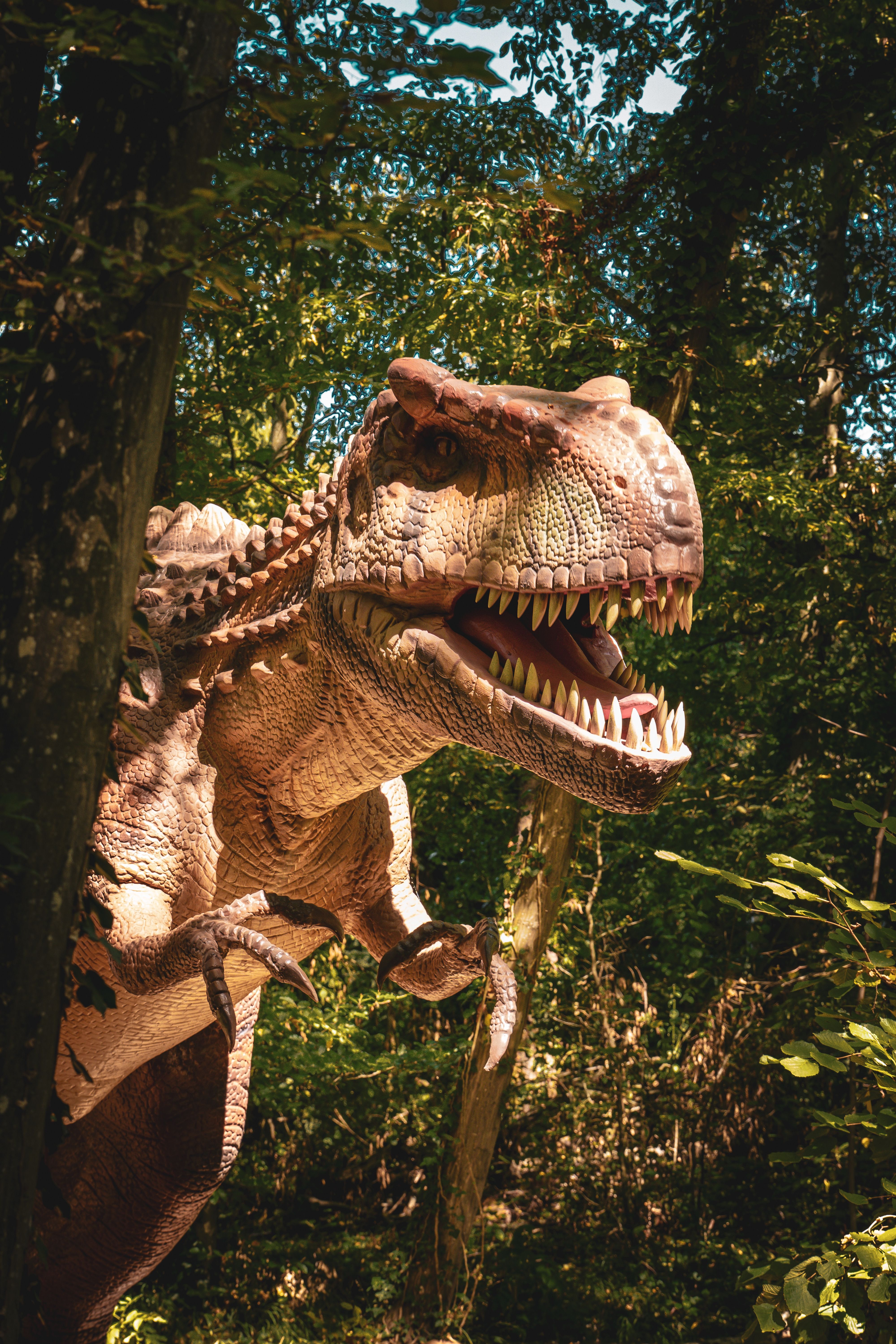 4000x6000 Styracosaurus in a Jungle · Free