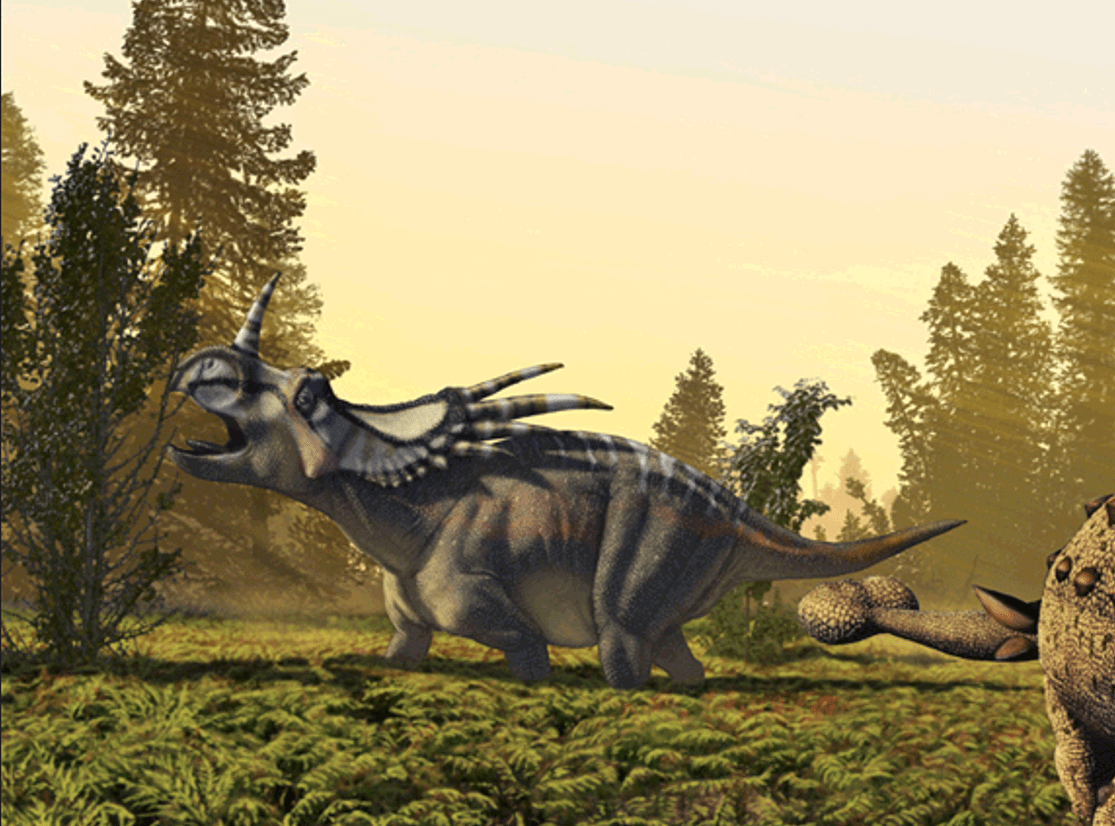 1115x826 Styracosaurus: Spiked Lizard