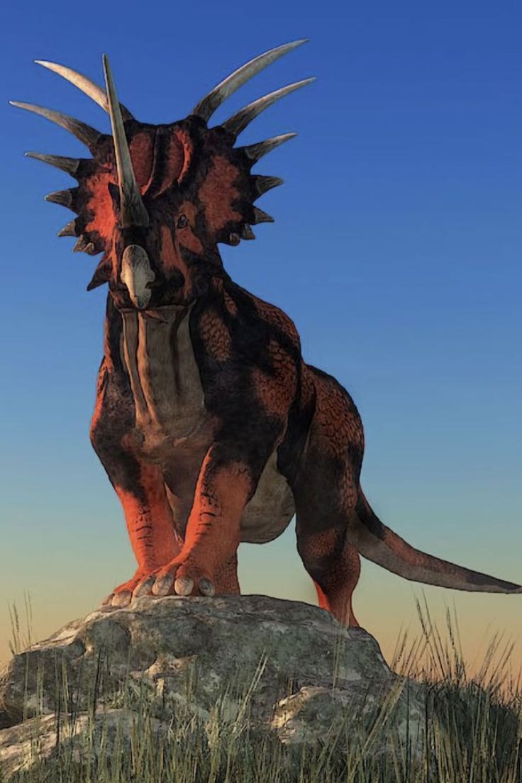 736x1104 Styracosaurus