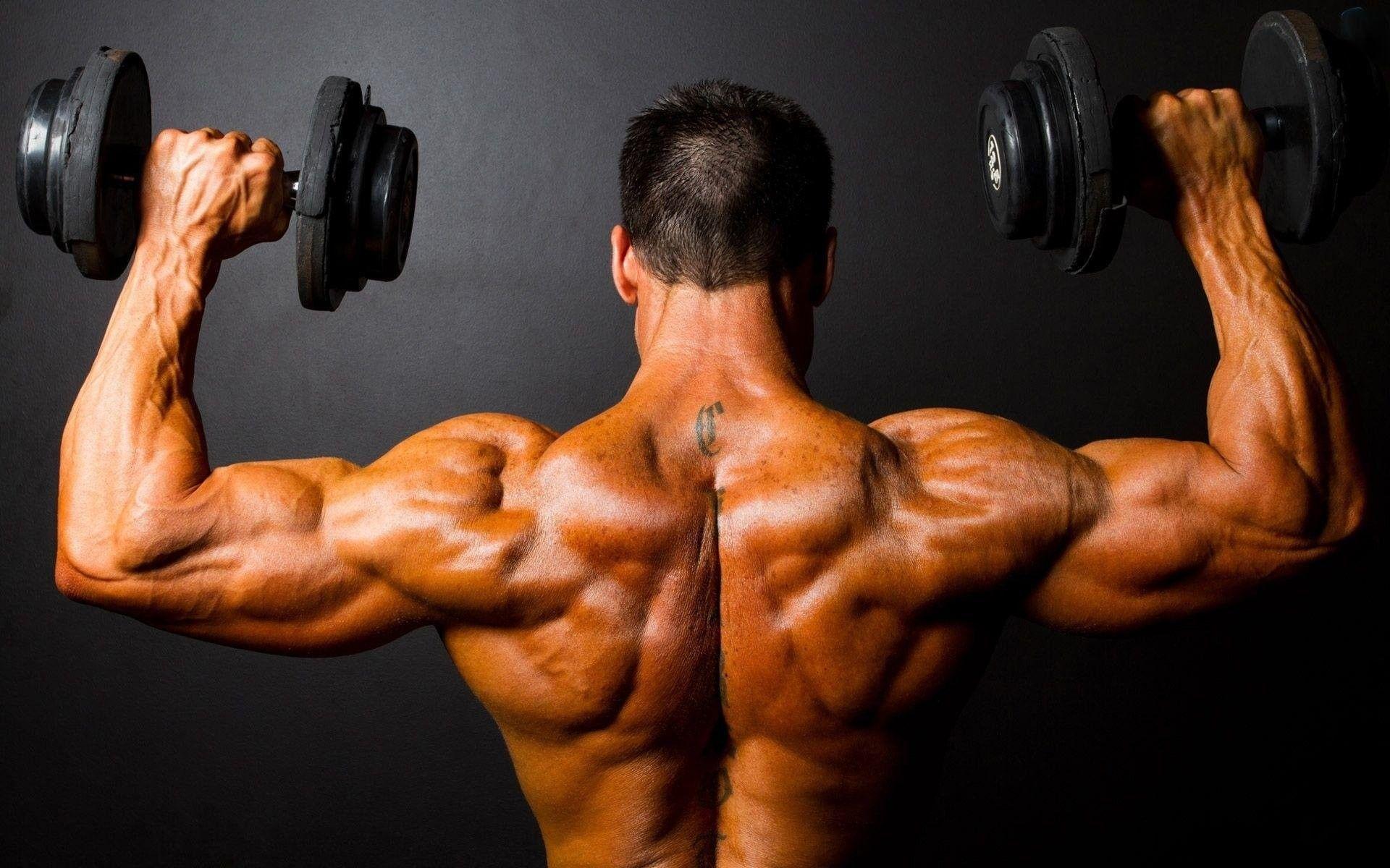 1920x1200 Weight Lifting Wallpaper HD