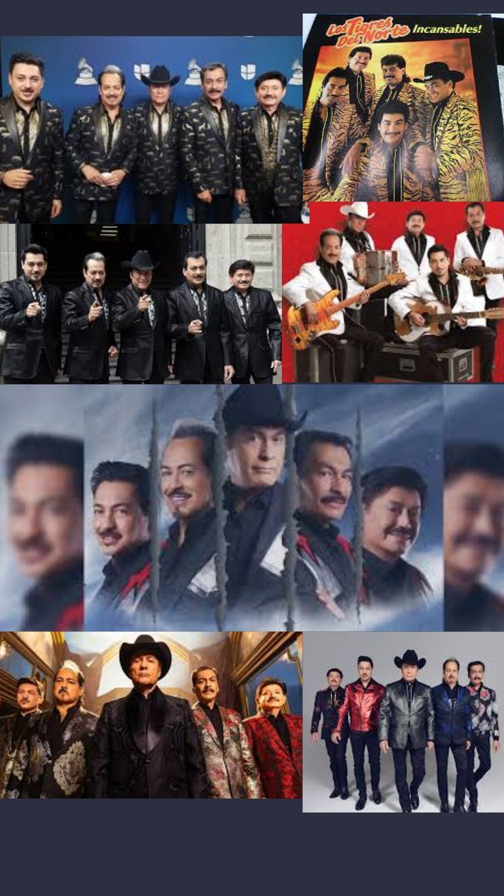 736x1309 Tigres del Norte wallpaper