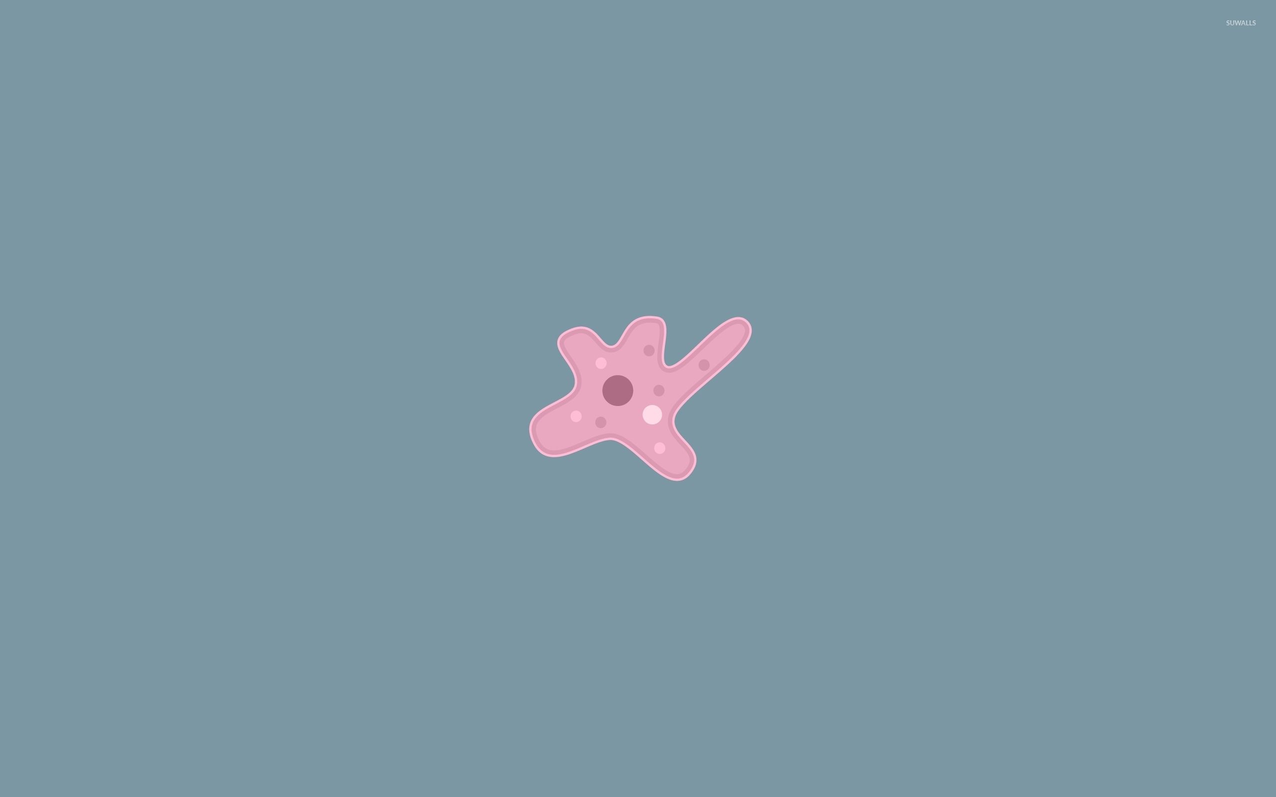 2560x1600 Amoeba wallpaper wallpaper