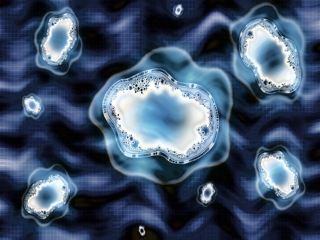 1024x768 Amoeba Wallpaper