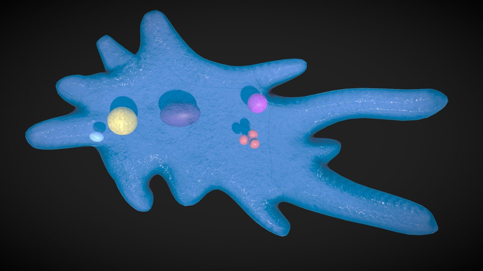 1920x1080 Amoeba model by Deepak_Sharma [171a16a]