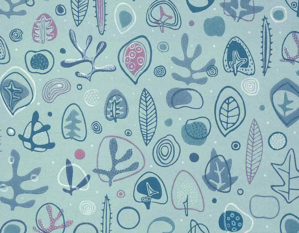 1024x797 Amoeba Wallpaper
