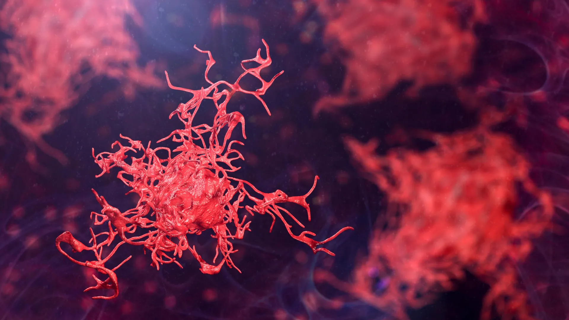 1920x1080 Scientists call for urgent action as dangerous amoebas spread globally