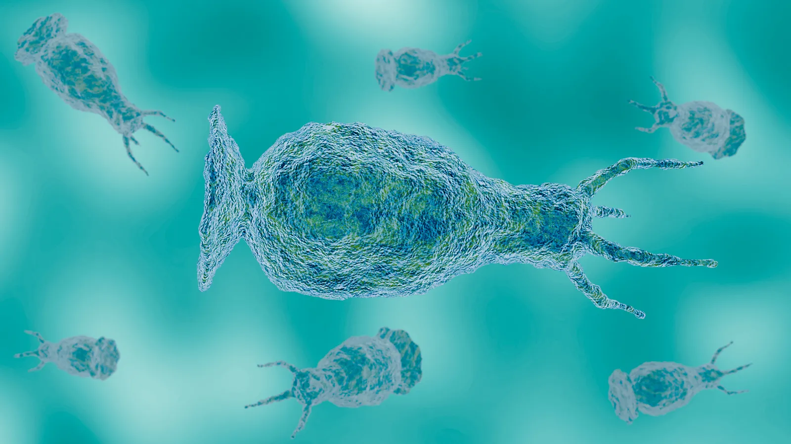 1600x900 Brain Eating Amoeba US Map: Historical Data Shows States Impacted