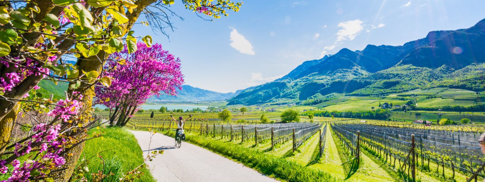 1600x600 Gourmet cycling tours around Lake Kaltern