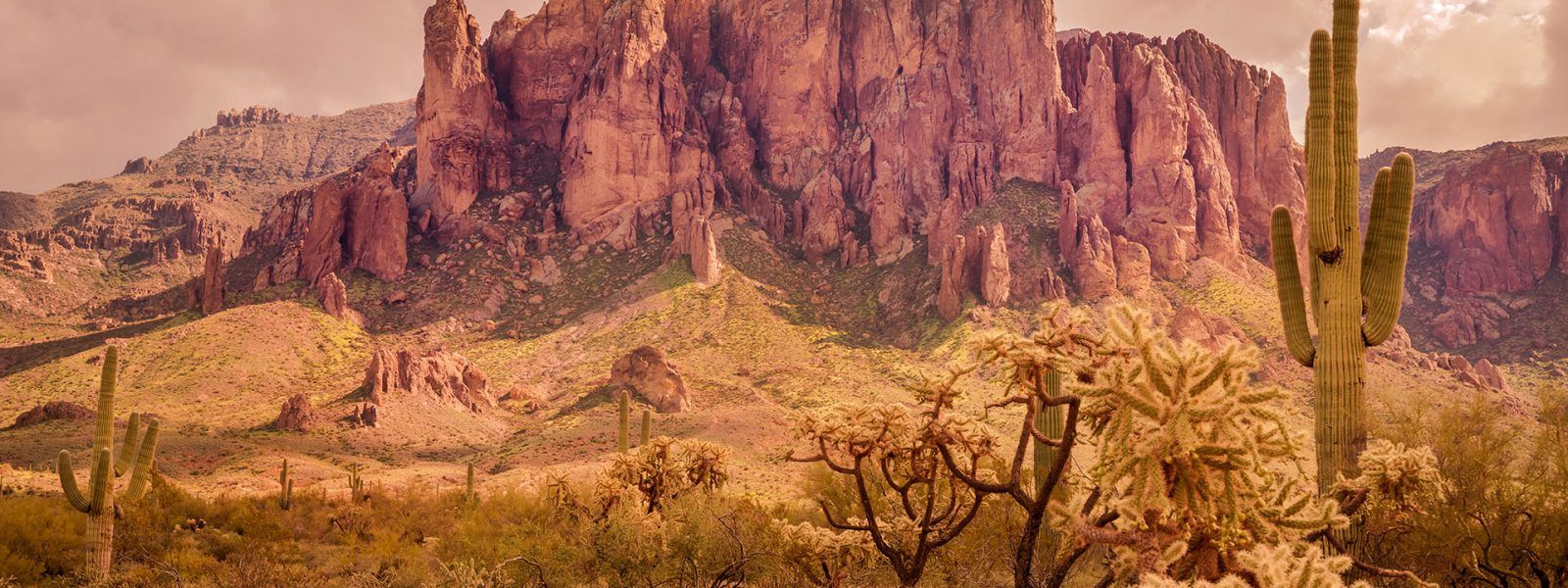1600x600 Western Art & Collectibles