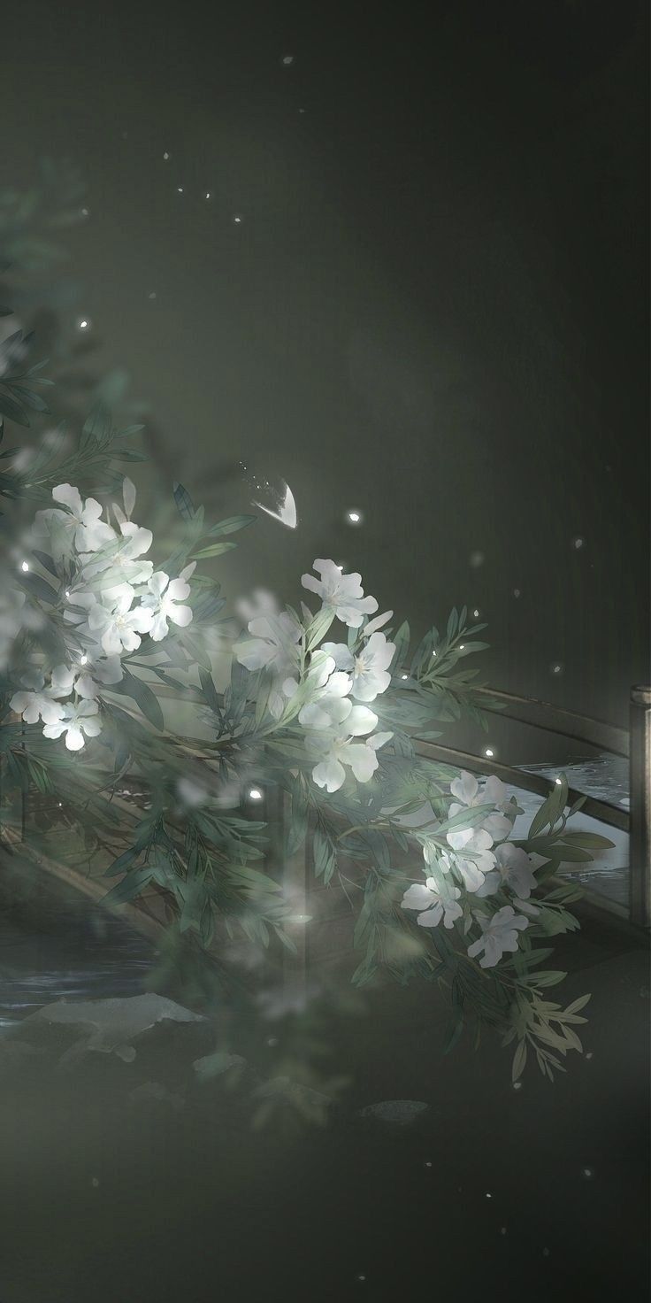 736x1472 Aesthetic Wallpaper. Ethereal wallpaper ideas, Ethereal background wallpaper, Pretty ethereal wallpaper