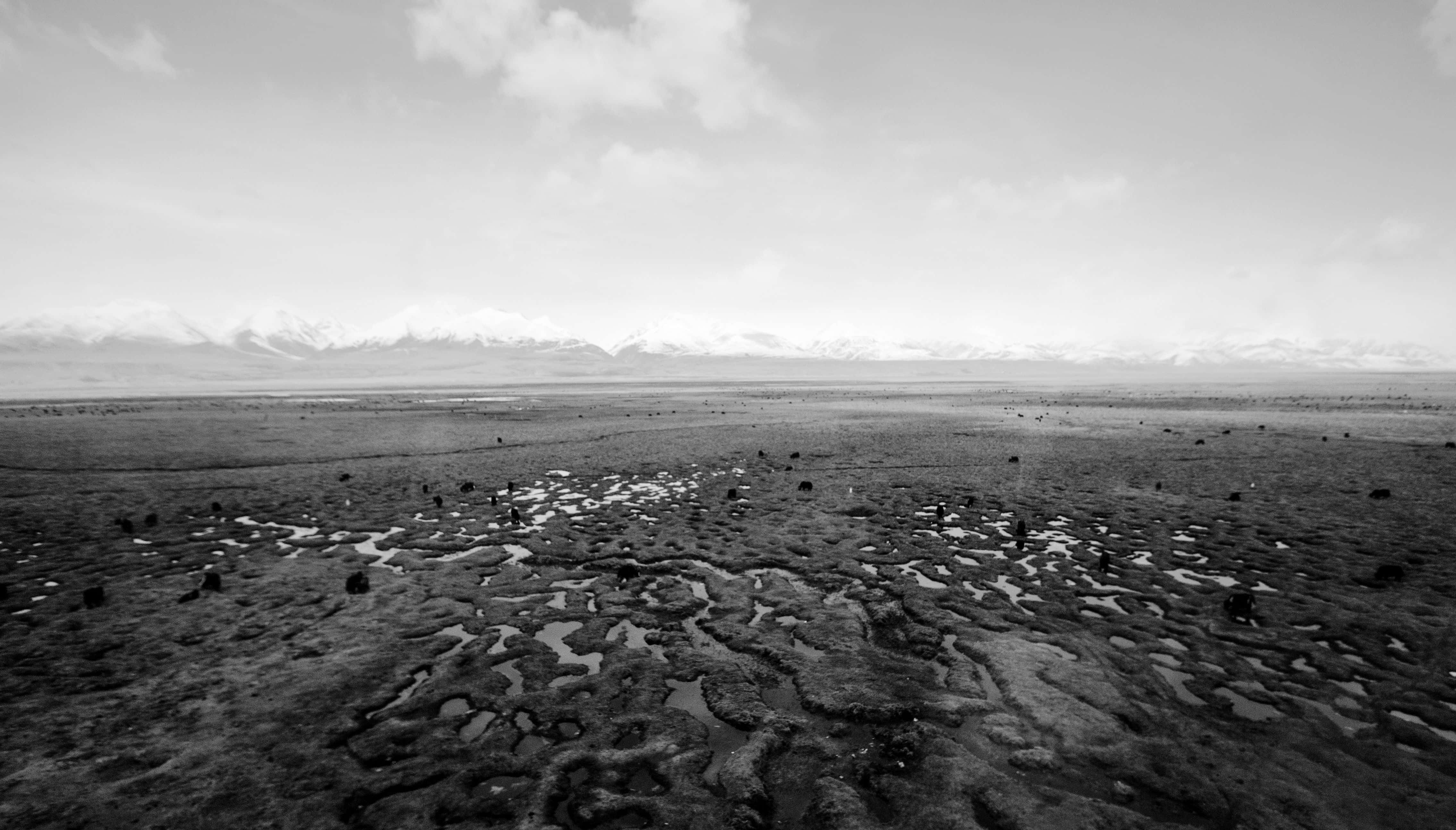 4541x2590 Download Drought Land Turns Desolate Wallpaper