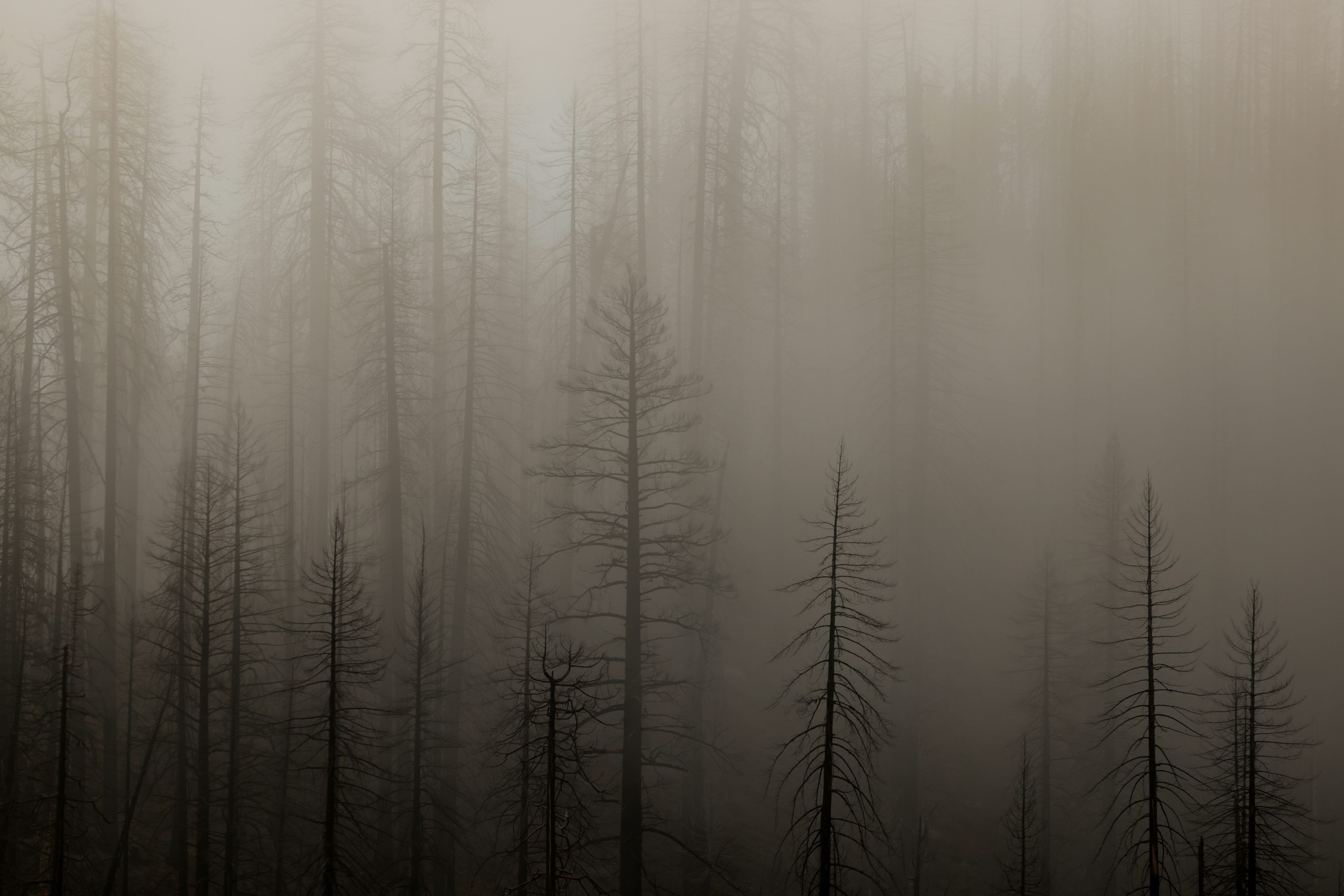 3000x2001 Desolate Landscape Picture. Download Free Image