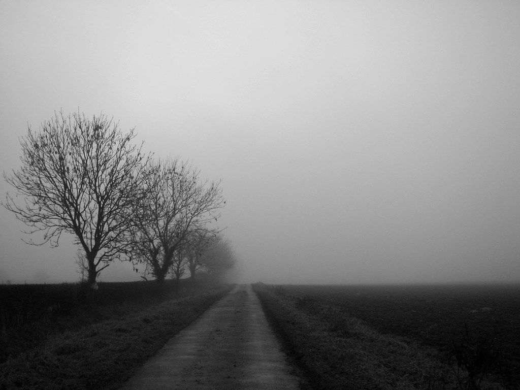 1024x768 Desolate Landscape. Amazing how a bit of fog changes a view