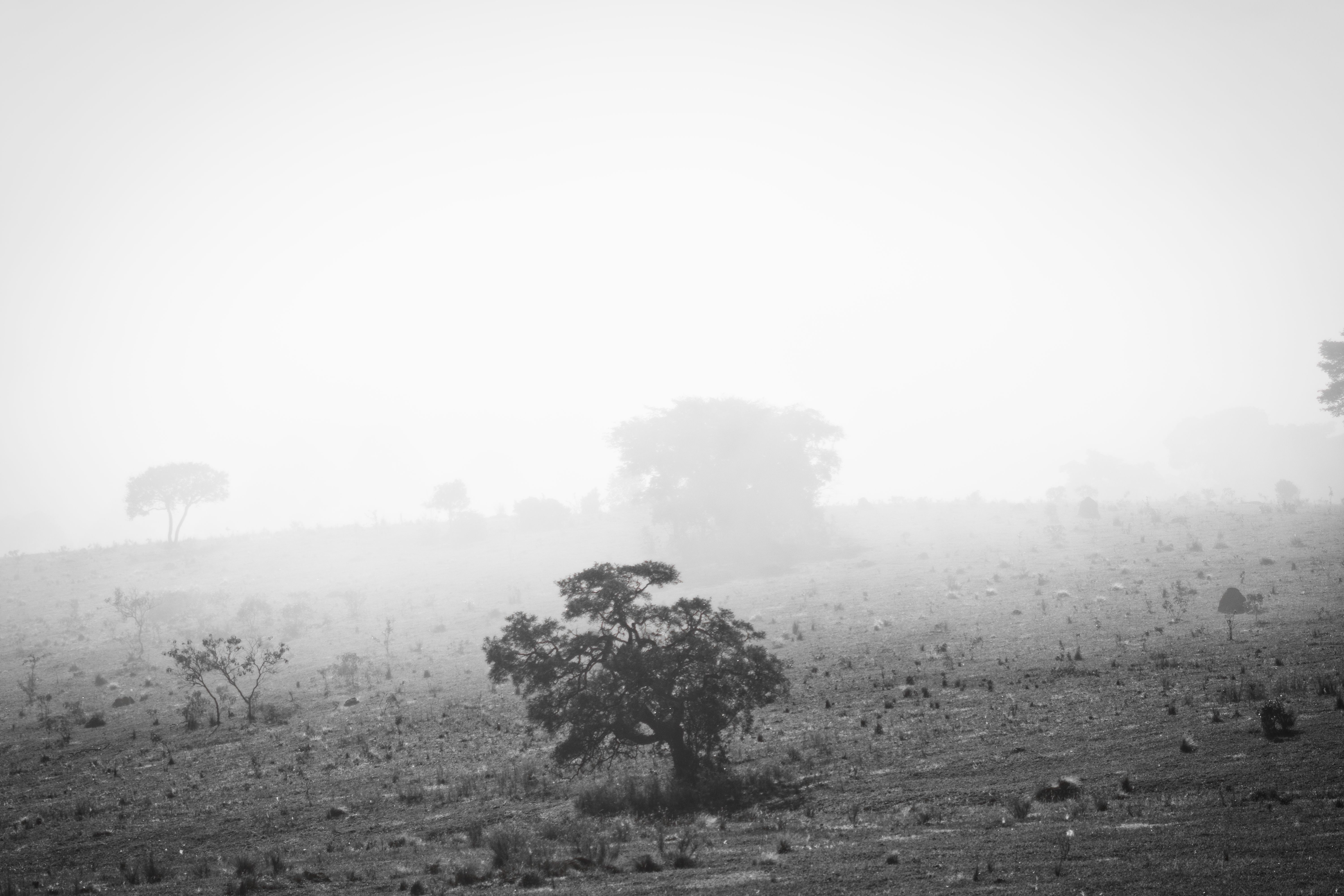 6000x4000 Desolate Landscape Photo, Download The BEST Free Desolate Landscape & HD Image