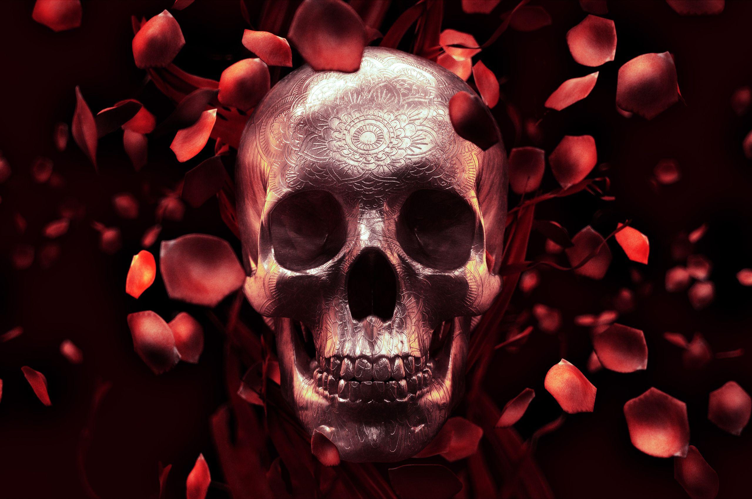 2560x1700 Rose Petal Skull Chromebook Pixel HD 4k Wallpaper, Image, Background, Photo and Picture