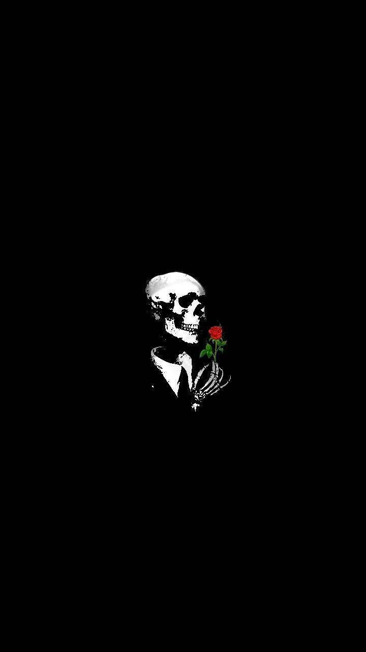 720x1280 rose and skull wallpaper