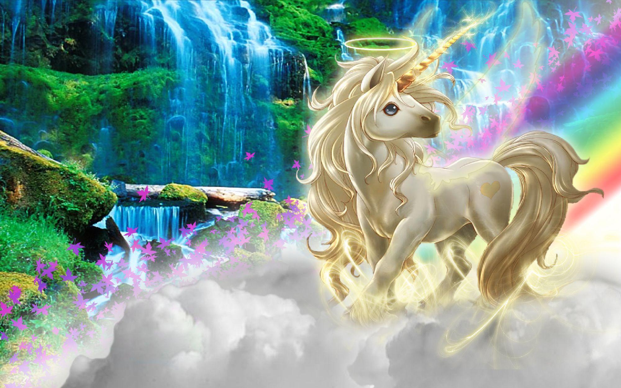 2000x1250 Cute Rainbow Unicorn Desktop Wallpaper