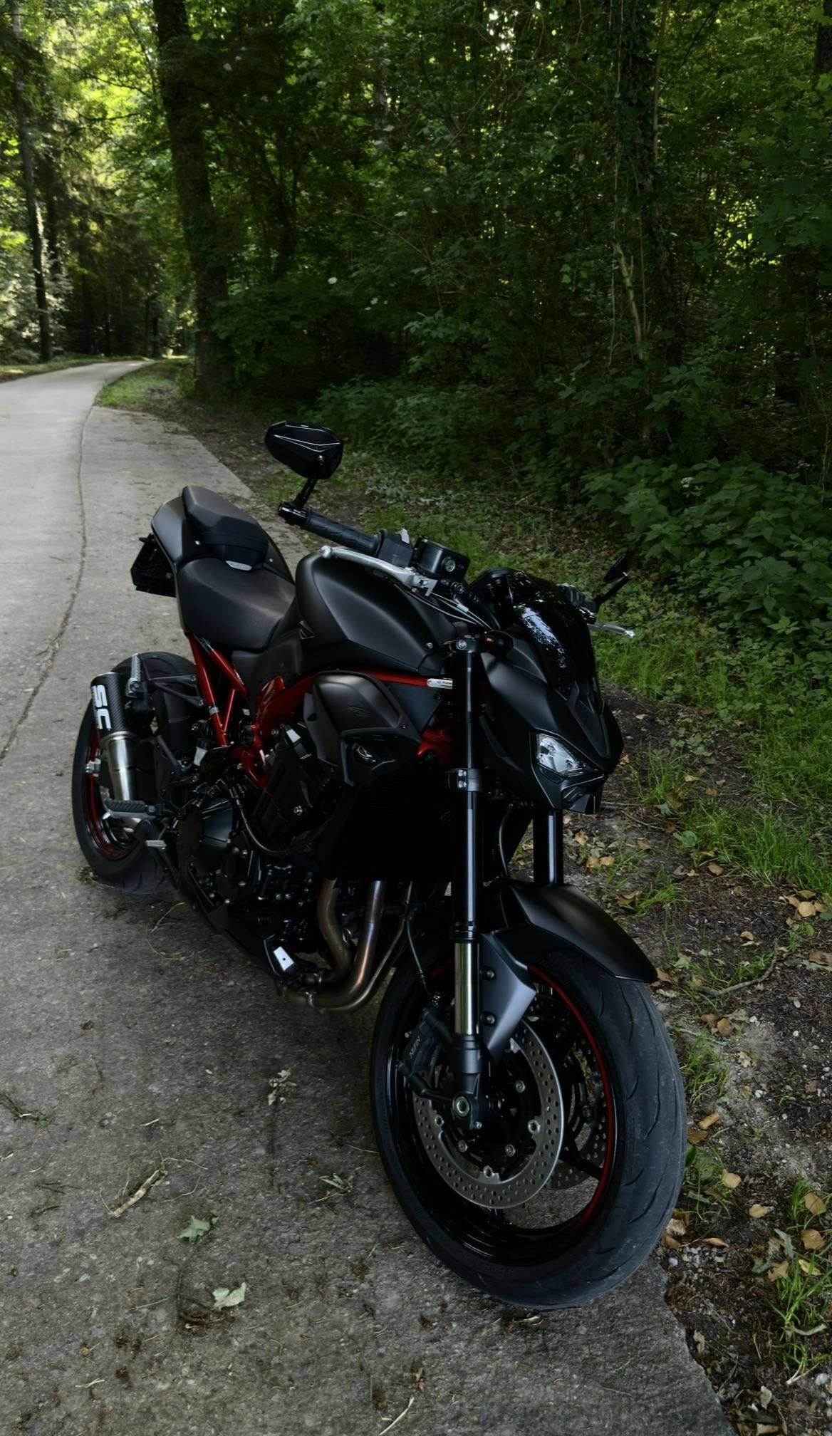 1168x2016 The new Z900