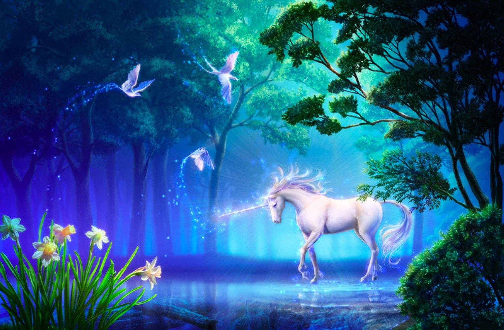 2000x1310 Galaxy Background Unicorn Wallpaper