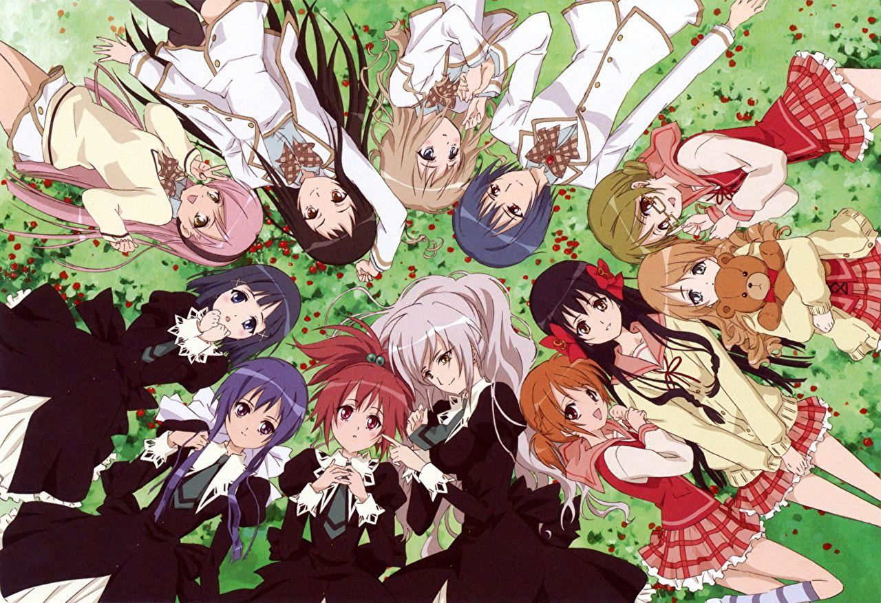 1280x877 Photos Strawberry Panic Anime
