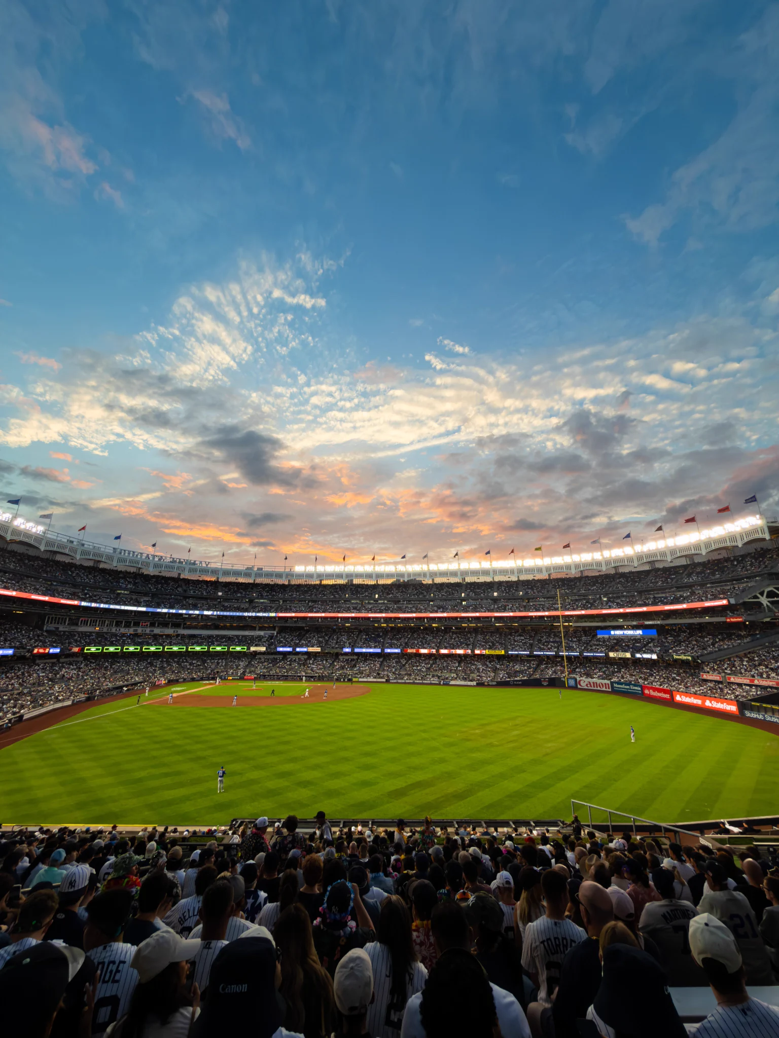 1536x2048 MLB on X: This view and ______ / X