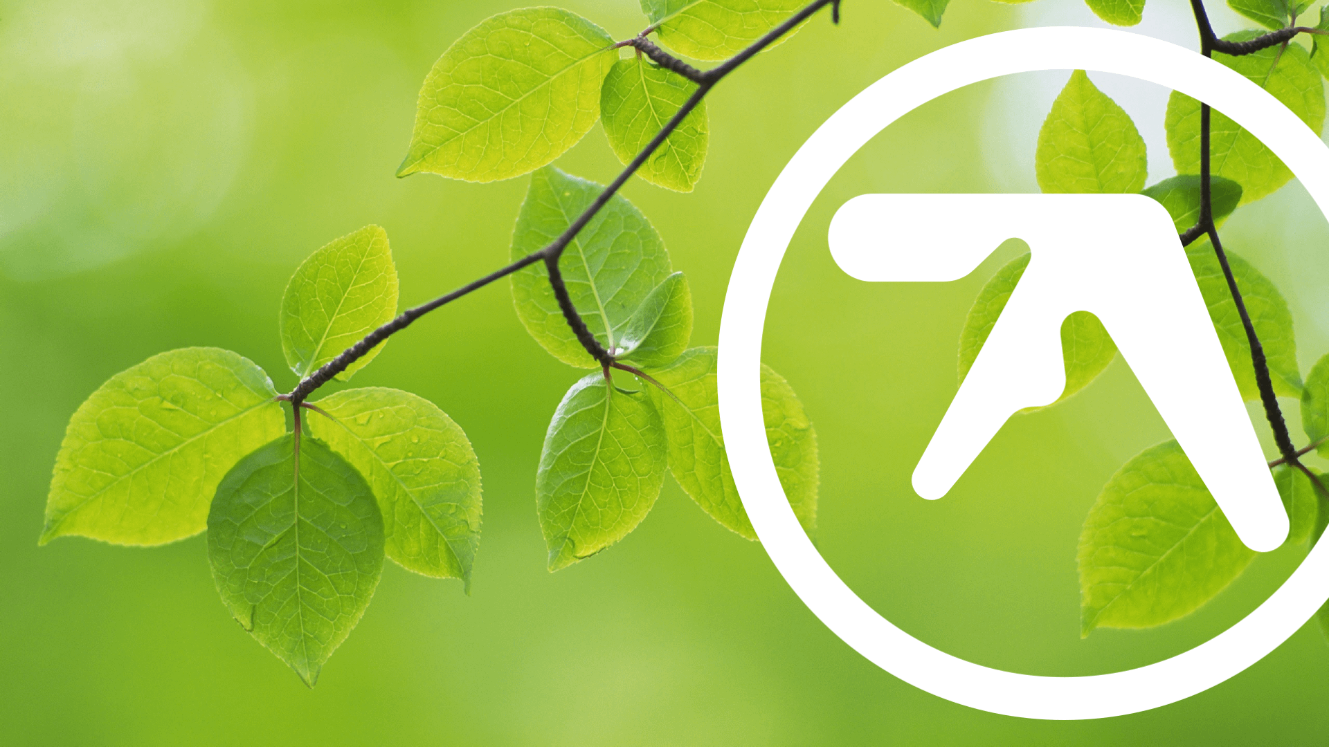 1920x1080 Made this simple Aphex Twin wallpaper!