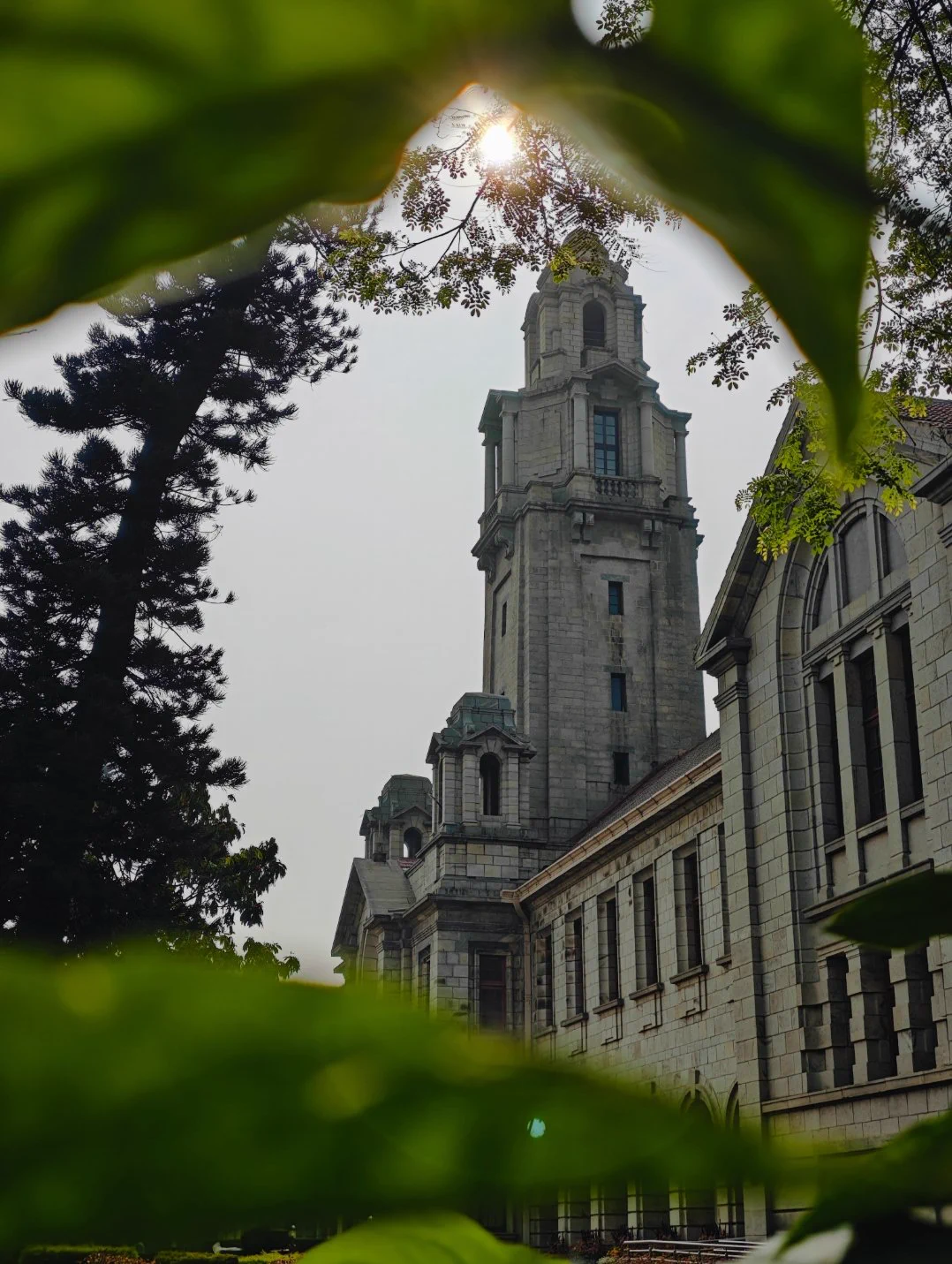 1078x1431 IISc Bangalore on X: Green and serene