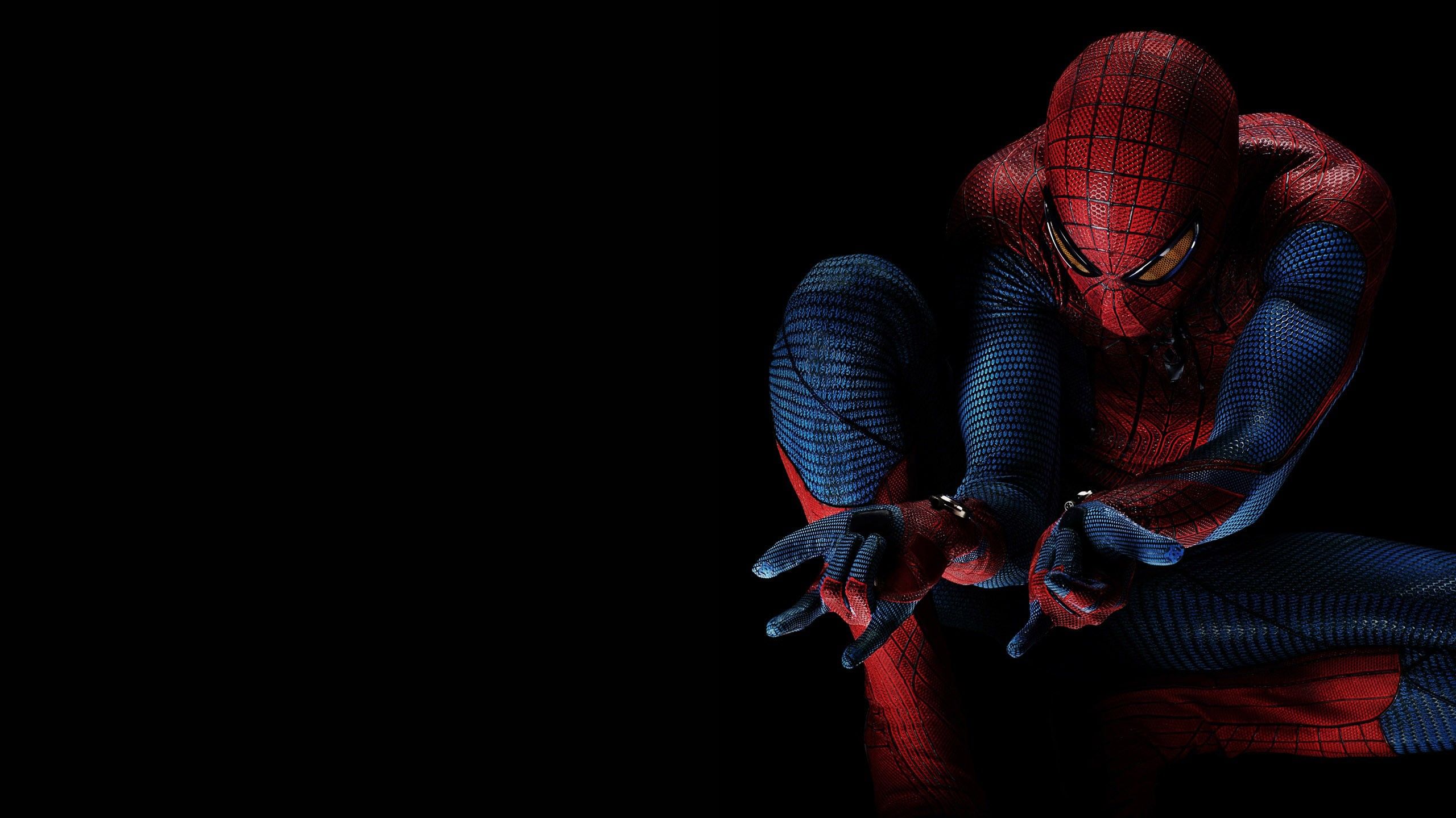 2560x1440 The Amazing Spider Man HD Wallpaperx1440