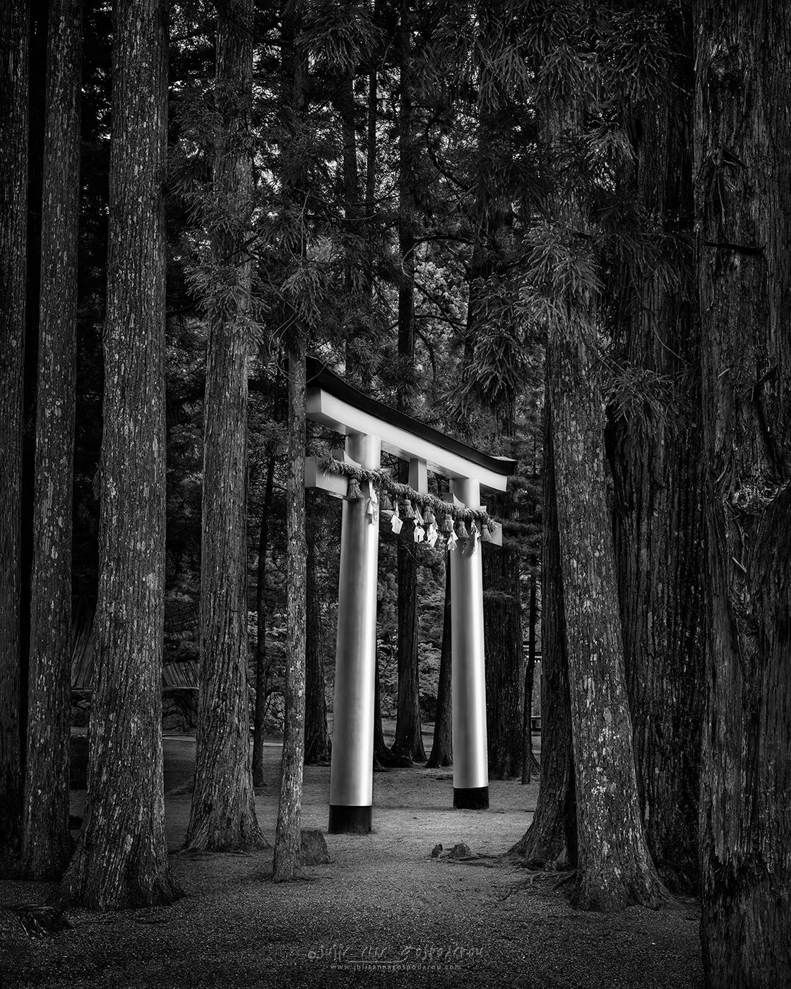 1120x1400 Komorebi III Light Garan Torii Koyasan Mount Koya