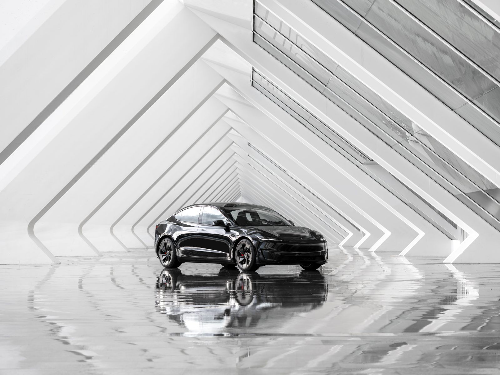 1600x1200 Tesla Model 3 Performance Orders Open